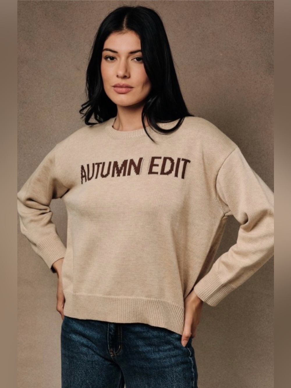 Autumn Edit Beige Crewneck Sweater - Soft Casual Knit